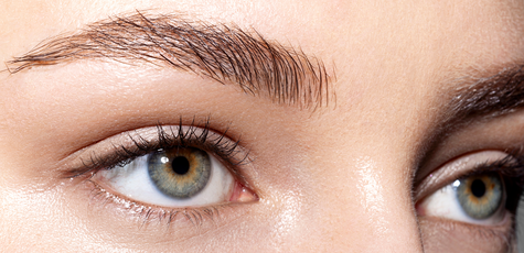 Lamination, Eyelash Coloring and Eyebrow Styling