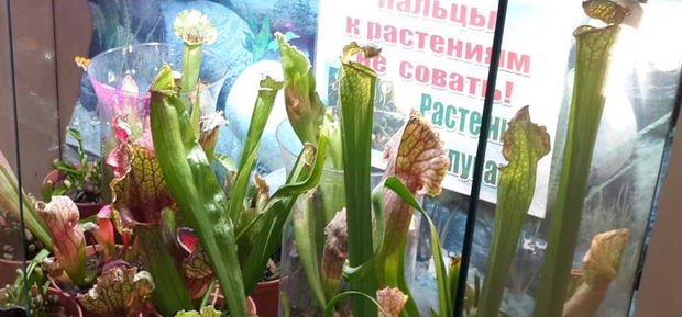 https://cdn1.pokupon.ua/uploaded/new_campaign_pictures/863286/data/main620x292/4.jpg?1680860870