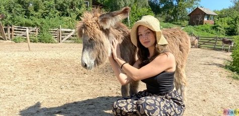 Visit to the Osloff Donkey Farm