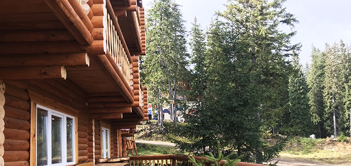 Акція на Від 4 ночей з харчуванням в «Alpine Eco Chalet» від Pokupon - 4