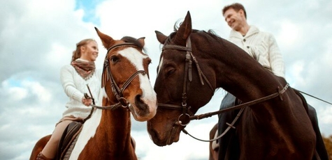 Discount on Horse Riding from the Club «Skif»