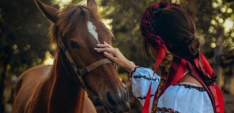 Знижка на прогулянку на конях від клубу «Horsecamp»