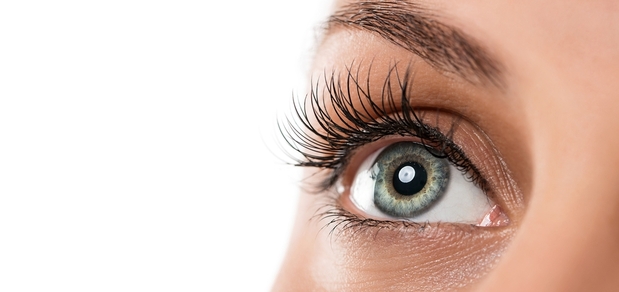 https://cdn1.pokupon.ua/uploaded/new_campaign_pictures/905621/data/main620x292/shutterstock_176457746.jpg?1719489339