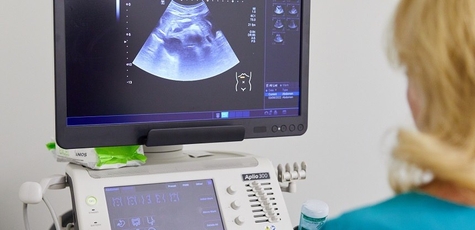 Ultrasound of the whole body at the Lev Med center