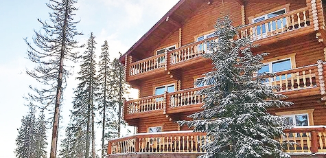 От 3 ночей с питанием в «Alpine Eco Chalet»