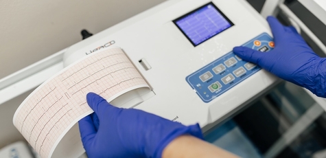 Electrocardiography (ECG) and Holter in Medea