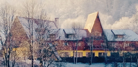 From 1 night of rest in Lisova Kazka near Bukovel