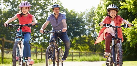 Bike rental for the whole day from Velokratiya