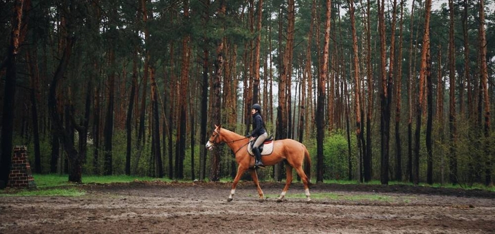 https://cdn1.pokupon.ua/uploaded/new_campaign_pictures/937923/data/main720x340/344034416_1283682205561838_8714110693840027394_n20240111-168769-1ee7fvx20250515-437575-1ob2uz8.jpg?1747319144