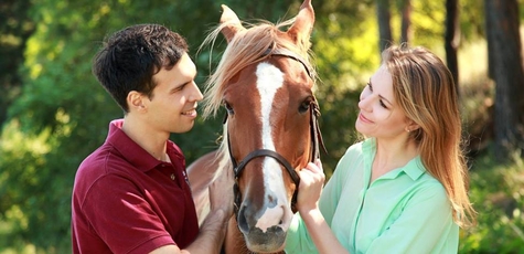 Знижка на кінні прогулянки у клубі «Дарвін»