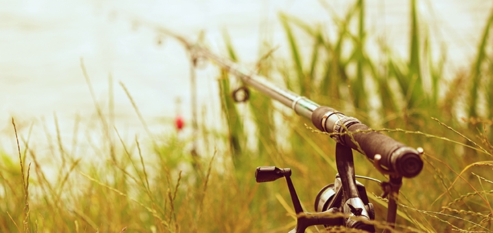 https://cdn1.pokupon.ua/uploaded/new_campaign_pictures/938673/data/main720x340/snasti-v-trave.jpg?1748617269
