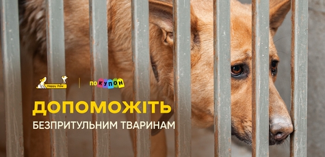 Charity event to help animals