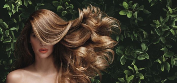 https://cdn1.pokupon.ua/uploaded/new_campaign_pictures/940690/data/main720x340/%D0%B2%D0%BE%D0%BB%D0%BE%D1%81%D1%81%D1%8F.jpg?1751030160