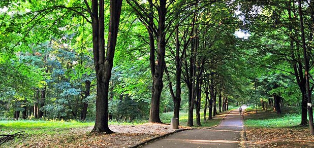 https://cdn1.pokupon.ua/uploaded/new_campaign_pictures/941375/data/main620x292/Centralnij-park-Adamovka.jpg.pagespeed.ce20180828-29886-1iwtbto20180918-20953-1g5o0q920190213-24538-5ooqq120250709-2551728-l7kquc.jpg?1752046989
