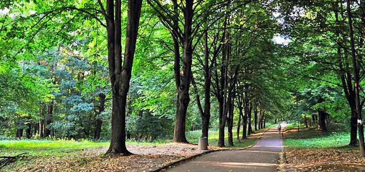 https://cdn1.pokupon.ua/uploaded/new_campaign_pictures/941375/data/main720x340/Centralnij-park-Adamovka.jpg.pagespeed.ce20180828-29886-1iwtbto20180918-20953-1g5o0q920190213-24538-5ooqq120250709-2551728-l7kquc.jpg?1752046989