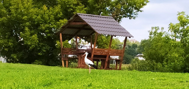 https://cdn1.pokupon.ua/uploaded/new_campaign_pictures/941663/data/main620x292/%D0%A0%D0%B8%D1%81%D1%83%D0%BD%D0%BE%D0%BA520250711-2646711-unngal.png?1752231367