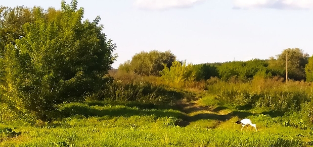 https://cdn1.pokupon.ua/uploaded/new_campaign_pictures/941687/data/main620x292/376496520_170992526045268_6881645204790415204_n20250711-2646711-1kbnmsh.jpg?1752231386
