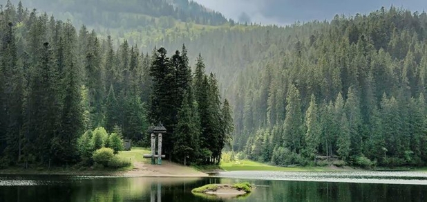 https://cdn1.pokupon.ua/uploaded/new_campaign_pictures/942194/data/main620x292/tyr.jpg?1753265214