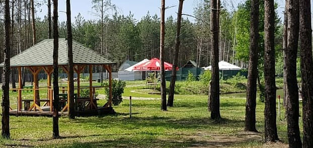 https://cdn1.pokupon.ua/uploaded/new_campaign_pictures/942764/data/main720x340/c5d39422-c302-43d8-a679-c81556d49cb220250414-3410779-1fpy0hq20250804-3489308-1tkzoam.png?1754311449
