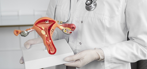 https://cdn1.pokupon.ua/uploaded/new_campaign_pictures/942981/data/main620x292/bokovoi-vid-doktor-derzit-anatomiceskuu-model.jpg?1754486817