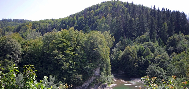 https://cdn1.pokupon.ua/uploaded/new_campaign_pictures/943758/data/main620x292/out6.jpg?1755854590