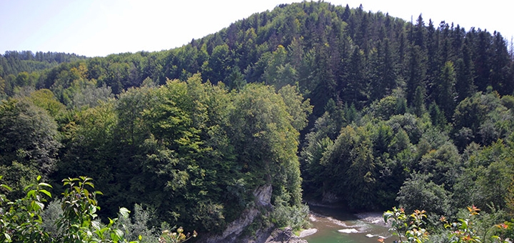 https://cdn1.pokupon.ua/uploaded/new_campaign_pictures/943758/data/main720x340/out6.jpg?1755854590
