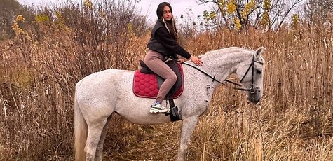 Скидка на прогулку на лошадях от «Golden horse»