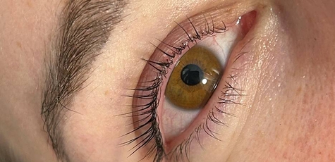 Eyebrow and eyelash correction and lamination