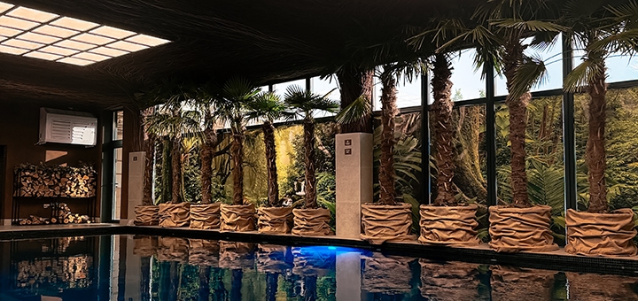 SPA relaxation at the Starbath City SPA complex