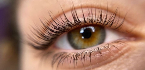 Ламінування вій та брів у «Beautyjcafe»