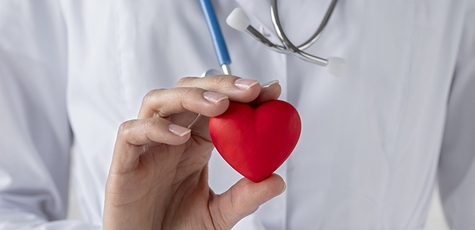 Cardiologist consultation with ultrasound and ECG