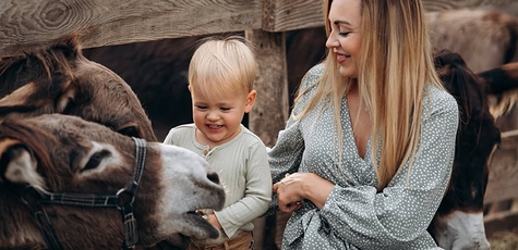 Відвідування віслючої ферми «Osloff» з дегустацією