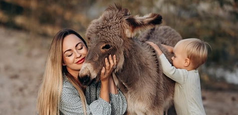 Відвідування віслючої ферми «Osloff» з дегустацією