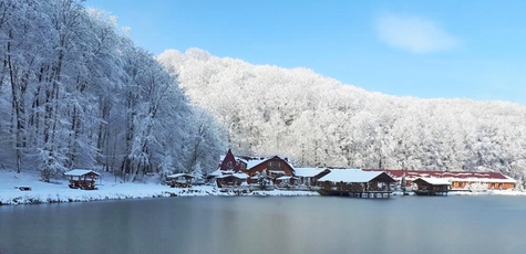От 3 ночей в Новый год в «Астур» в Закарпатье