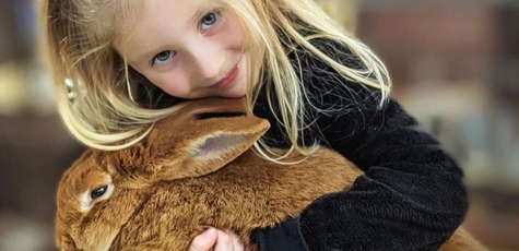 50% discount on tickets to the Brother Rabbit