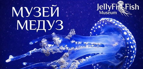 Вхідний квиток до Музею Медуз на Майдані