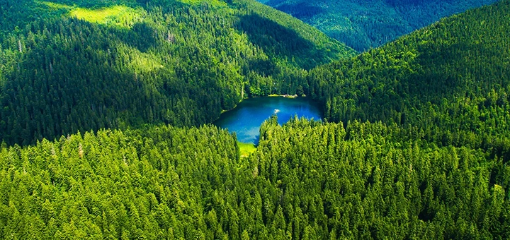 https://cdn1.pokupon.ua/uploaded/new_campaign_pictures/956898/data/main720x340/tour-truskavets-gallery-8.jpg?1773071322