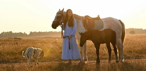 Знижка на прогулянку на коні на базі «Свобода»