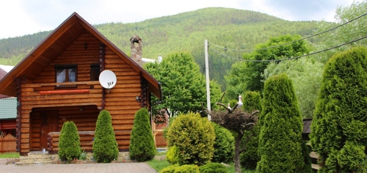 https://cdn1.pokupon.ua/uploaded/new_campaign_pictures/958056/data/main720x340/%D0%B3%D0%BB%D0%B0%D0%B2%D0%BD4.jpg?1774521280