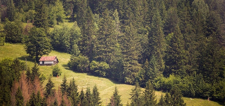 https://cdn1.pokupon.ua/uploaded/new_campaign_pictures/960015/data/main720x340/44_1396880660.jpeg?1777620463