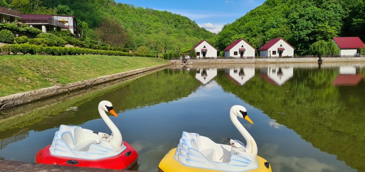 https://cdn1.pokupon.ua/uploaded/new_campaign_pictures/960877/data/main720x340/20210517_164616-2048x1152.jpg?1779198440