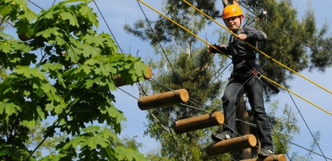 50% off weekdays on Trolland zip lines