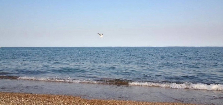 https://cdn1.pokupon.ua/uploaded/new_campaign_pictures/962835/data/main720x340/photo_5303471616660543515_y.jpg?1781769618