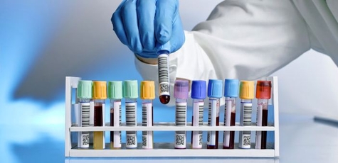 Comprehensive Body Tests at the Sciencelab