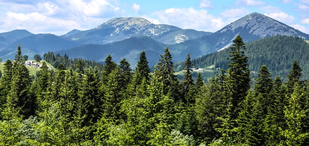 https://cdn1.pokupon.ua/uploaded/new_campaign_pictures/964681/data/main620x292/karpaty33.jpg?1786104134