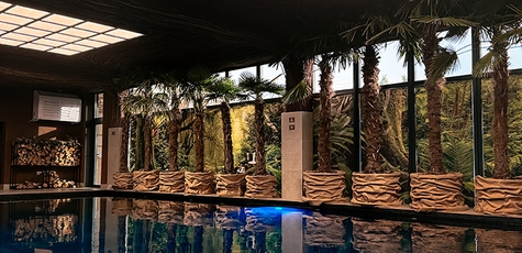SPA-відпочинок у комплексі «Starbath City SPA»